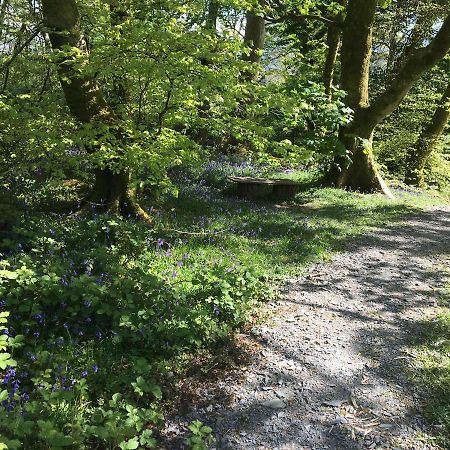 Hotel 173A Woodland Way à Porthmadog Extérieur photo